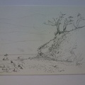 Hiddensee Steilkste 4