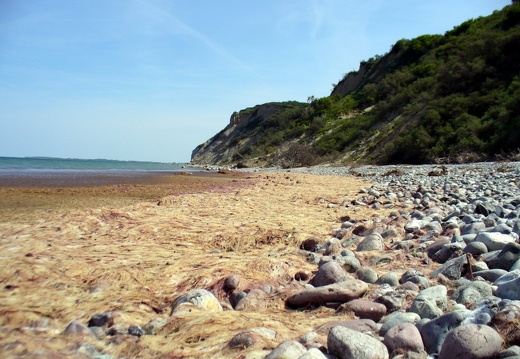 Hiddensee 2008 010