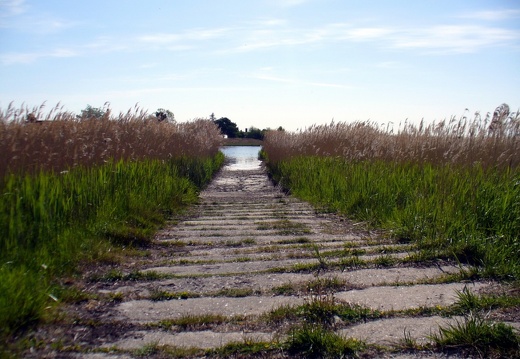 Hiddensee 2008 030