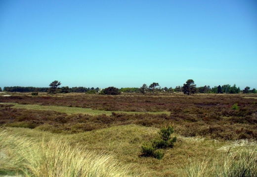 Hiddensee 2008 061