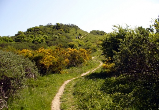 Hiddensee 2008 212