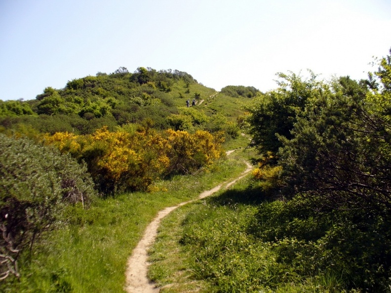 Hiddensee_2008_212.jpg