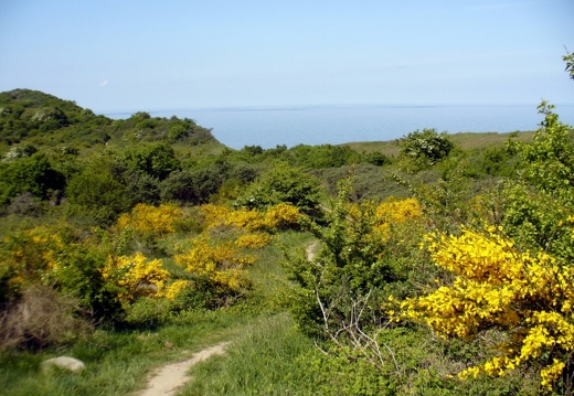 Hiddensee 2008 217